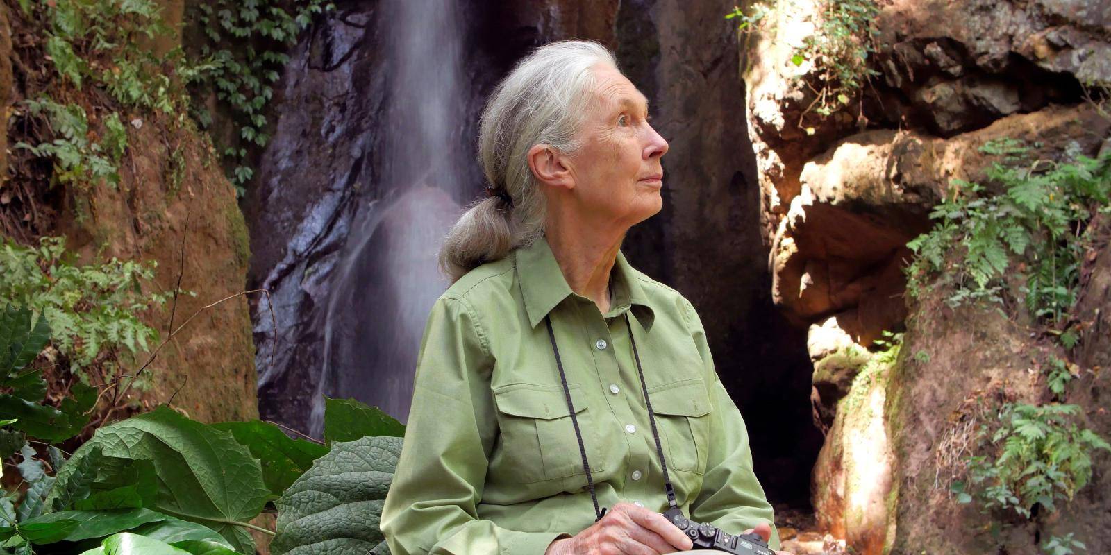 Dr. Jane Goodall certainly inspires hope through action. It was a